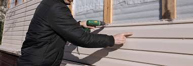 Best Siding Painting and Refinishing  in Coal Run Village, KY